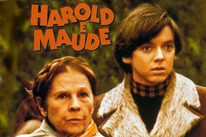 Kult-Film “Harold And Maude” läuft seit 49 Jahren jeden Sonntag, 06.06.1975