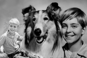 “Lassie” startet im Deutschen Fernsehen, 21.06.1958