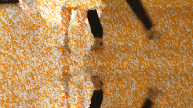 Heute ist ein guter Tag zum Tanzen: Quickstep