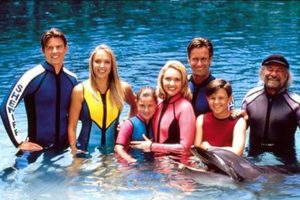 Delphin “Flipper” begeistert Jung und Alt